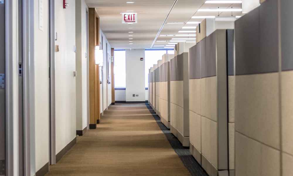 rows of cubicles