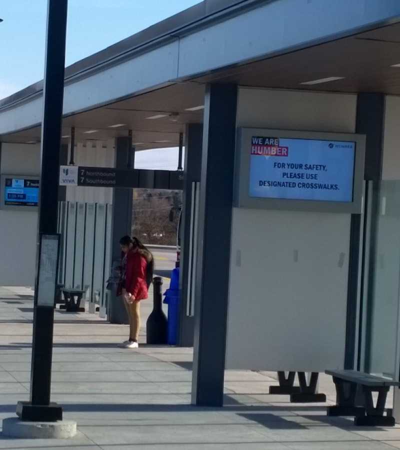 digital screens in transit shelter